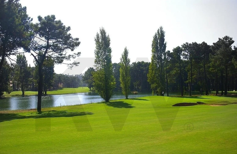 Terreno para Venda em Corroios Foto 12