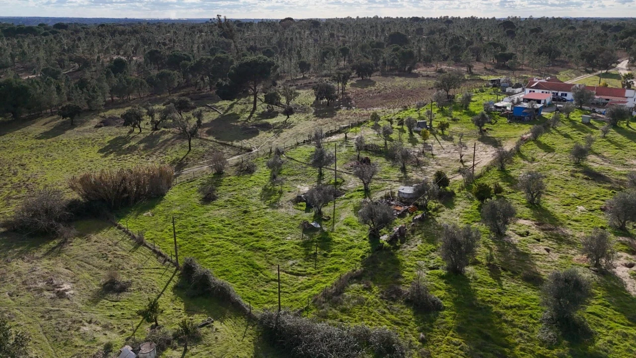 Quinta T7 para Venda em Cortiçadas de Lavre e Lavre Foto 35
