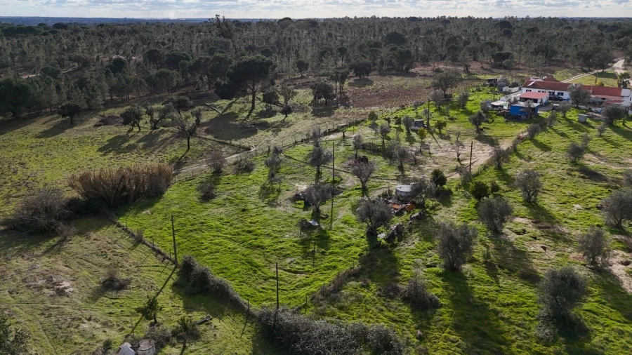 Quinta T7 para Venda em Cortiçadas de Lavre e Lavre Foto 35