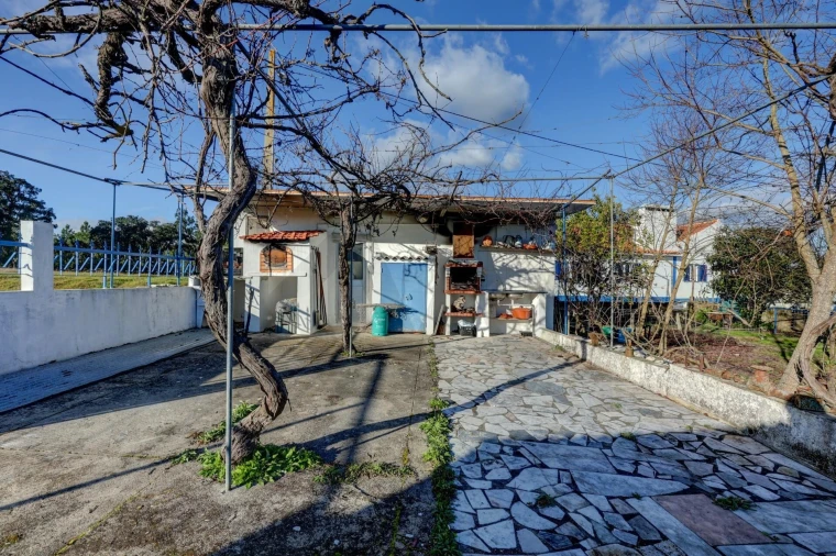 Quinta T7 para Venda em Cortiçadas de Lavre e Lavre Foto 33