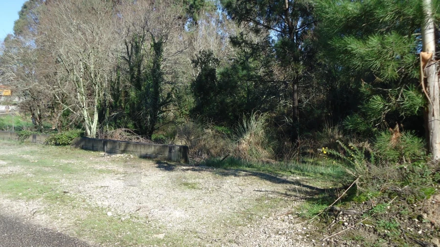 Terreno para Venda em Glória e Vera Cruz Foto 4