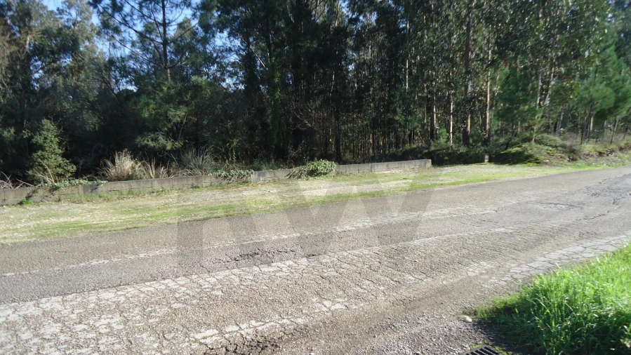 Terreno para Venda em Glória e Vera Cruz Foto 20