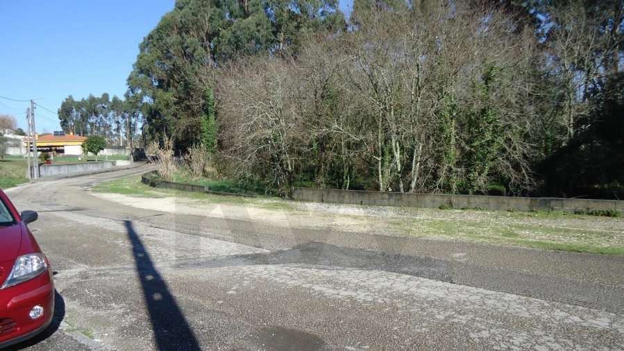 Terreno para Venda em Glória e Vera Cruz Foto 21