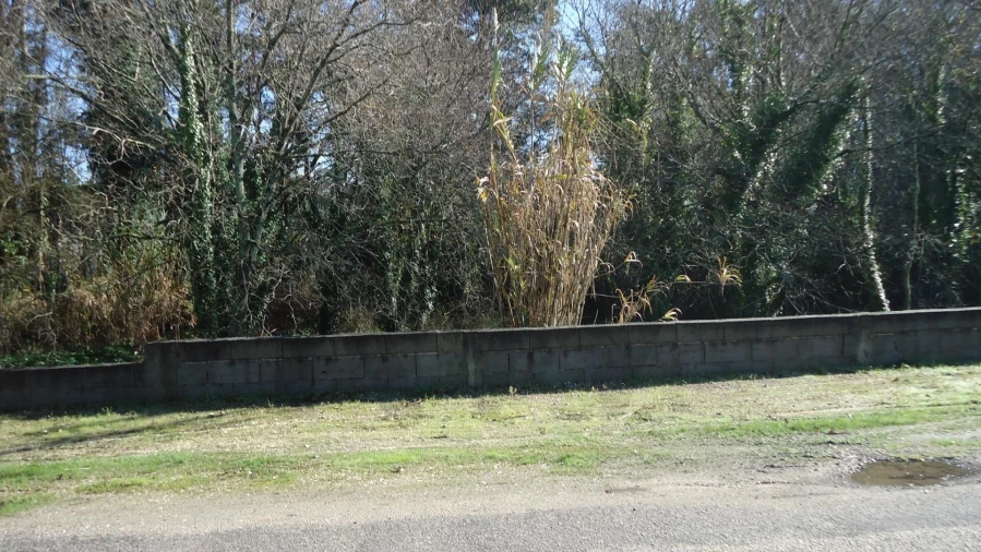 Terreno para Venda em Glória e Vera Cruz Foto 1