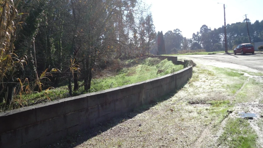 Terreno para Venda em Glória e Vera Cruz Foto 2