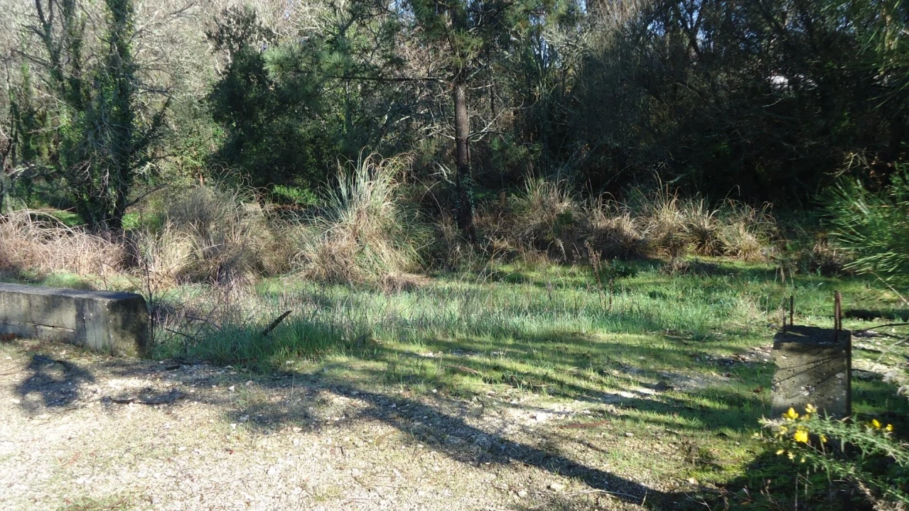 Terreno para Venda em Glória e Vera Cruz Foto 5