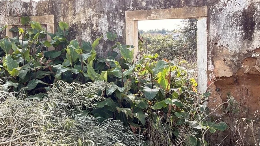 Terreno para Venda em Fraguas