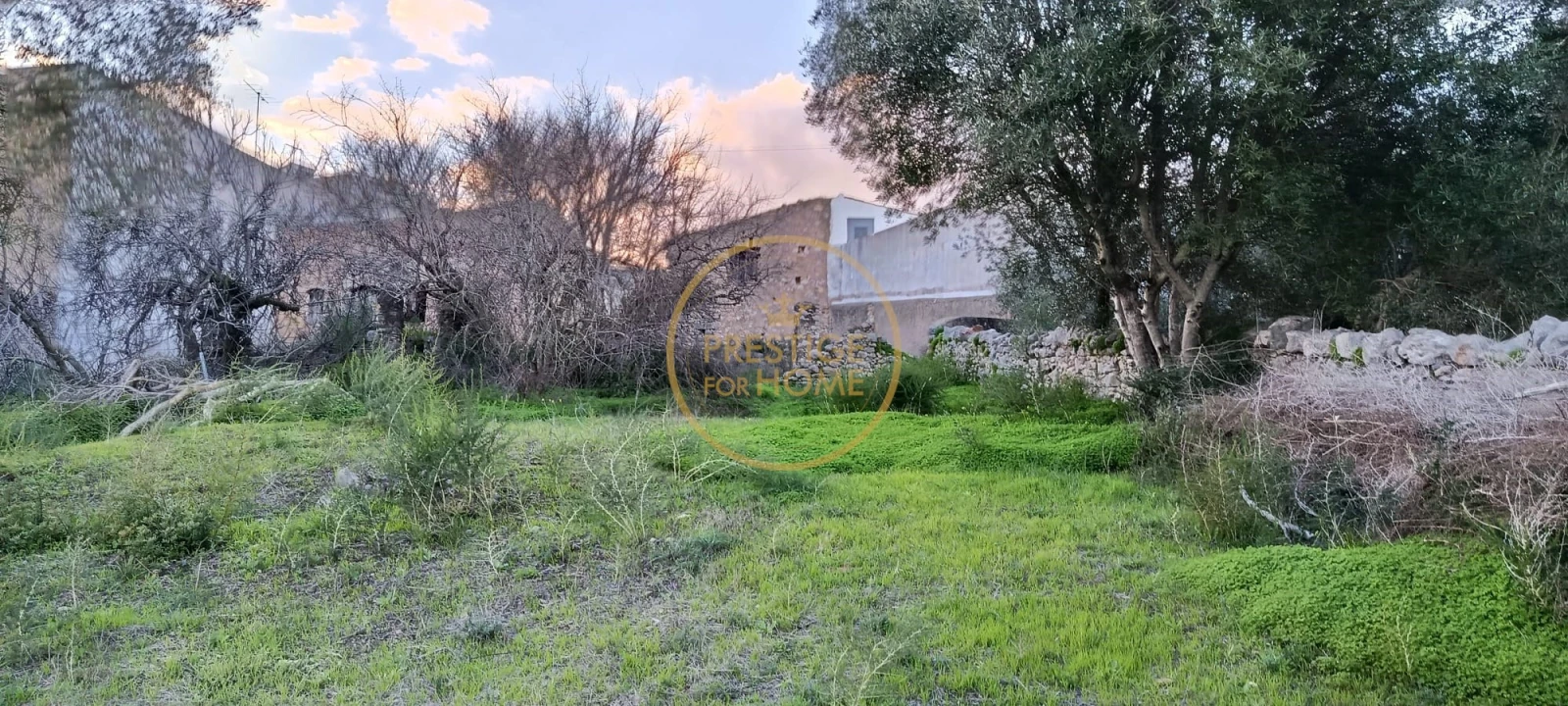 Terreno para Venda em Loule (São Sebastião) Foto 3
