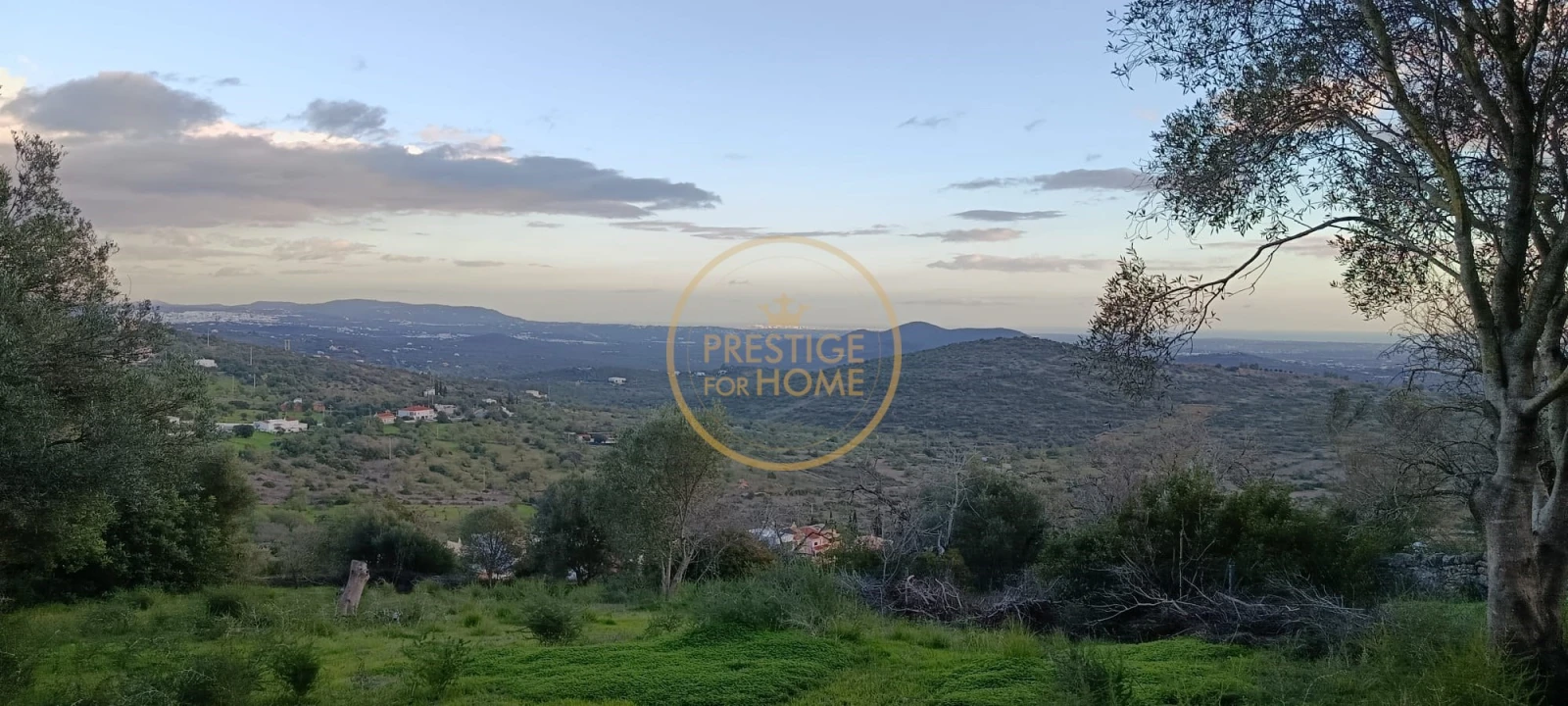 Terreno para Venda em Loule (São Sebastião) Foto 16