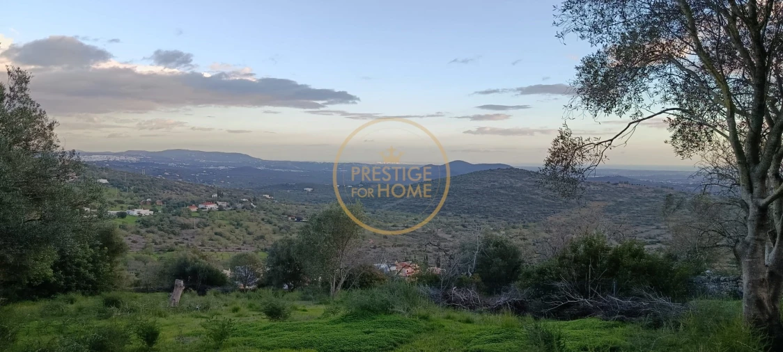 Terreno para Venda em Loule (São Sebastião) Foto 16