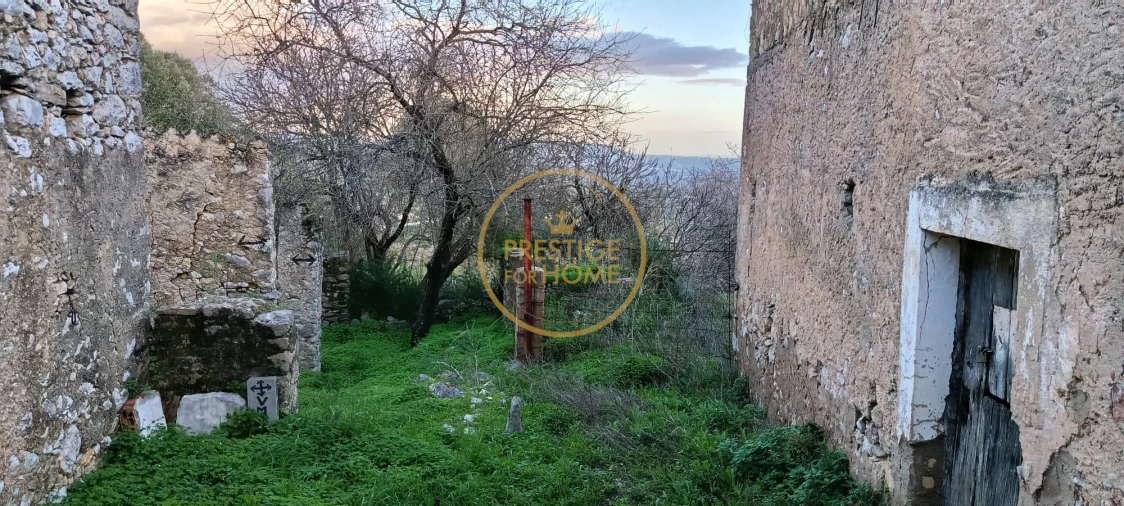 Terreno para Venda em Loule (São Sebastião) Foto 14