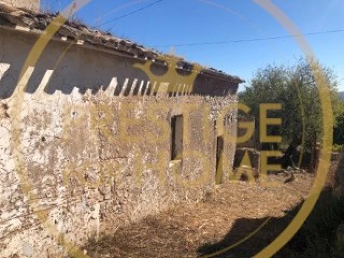 Terreno para Venda em Loule (São Sebastião) Foto 1