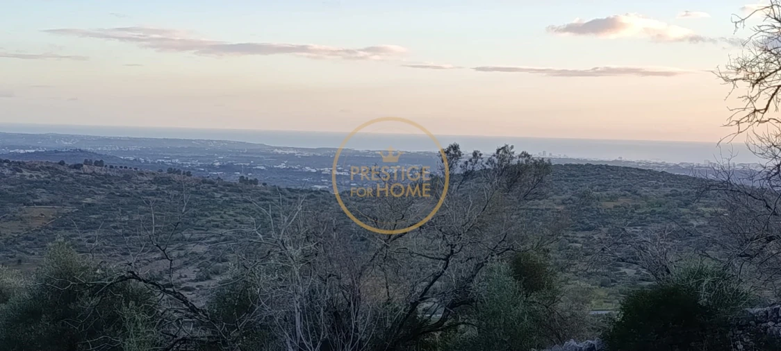 Terreno para Venda em Loule (São Sebastião) Foto 11