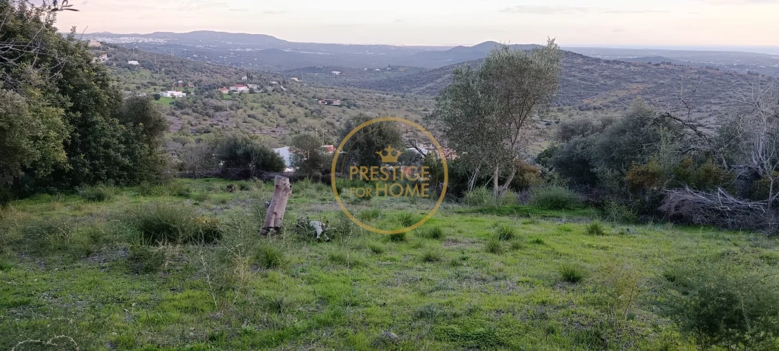 Terreno para Venda em Loule (São Sebastião) Foto 9