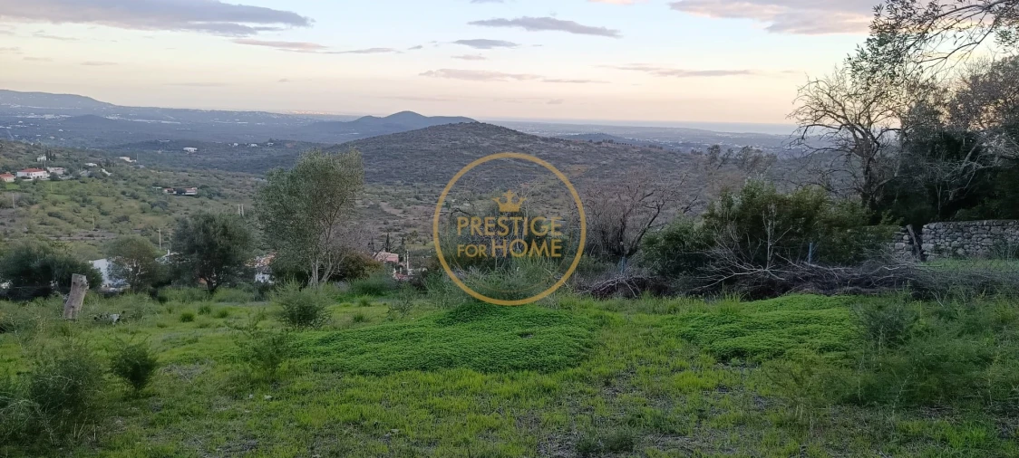 Terreno para Venda em Loule (São Sebastião) Foto 7