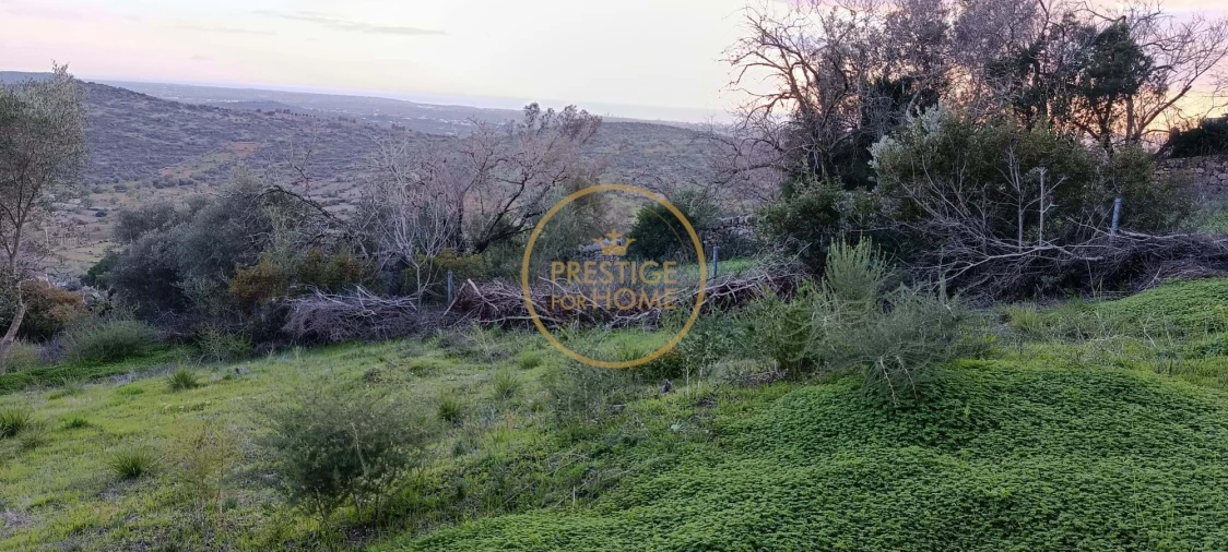 Terreno para Venda em Loule (São Sebastião) Foto 8