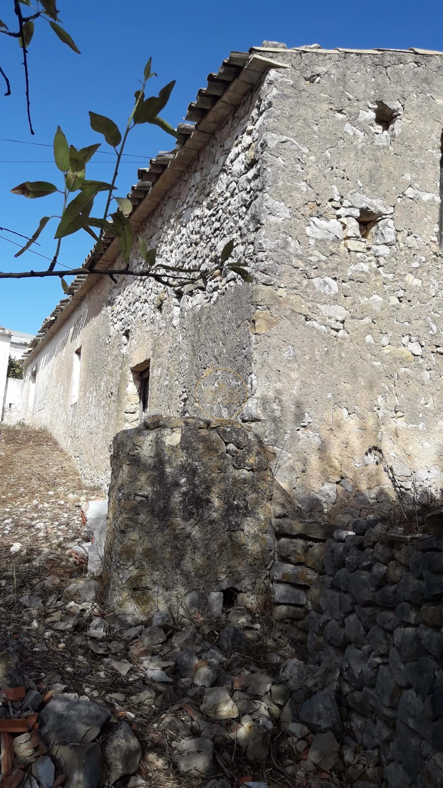 Terreno para Venda em Loule (São Sebastião) Foto 13
