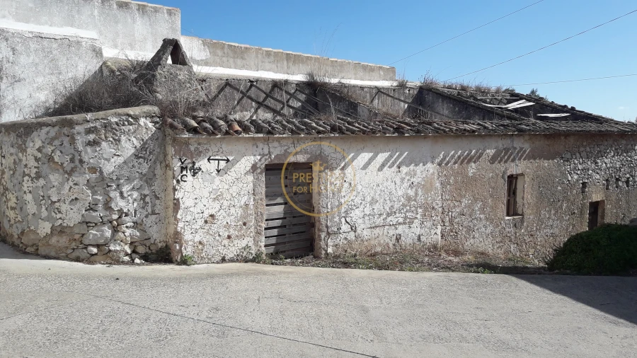 Terreno para Venda em Loule (São Sebastião) Foto 4