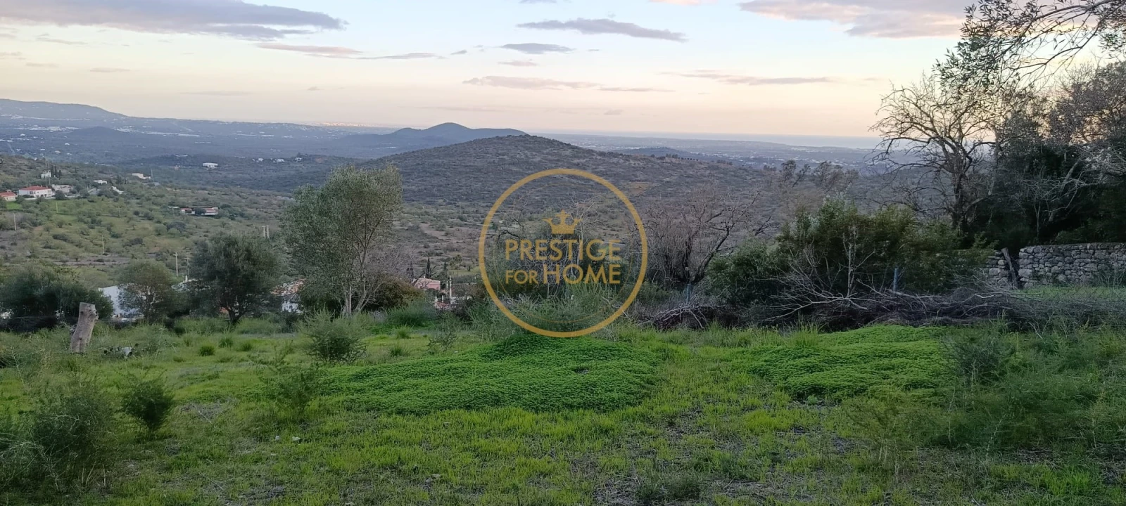 Terreno para Venda em Loule (São Sebastião) Foto 7