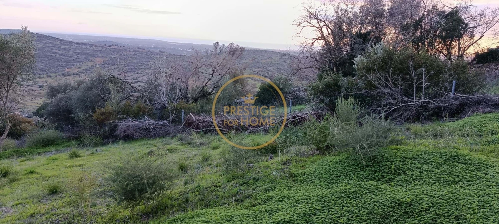 Terreno para Venda em Loule (São Sebastião) Foto 8