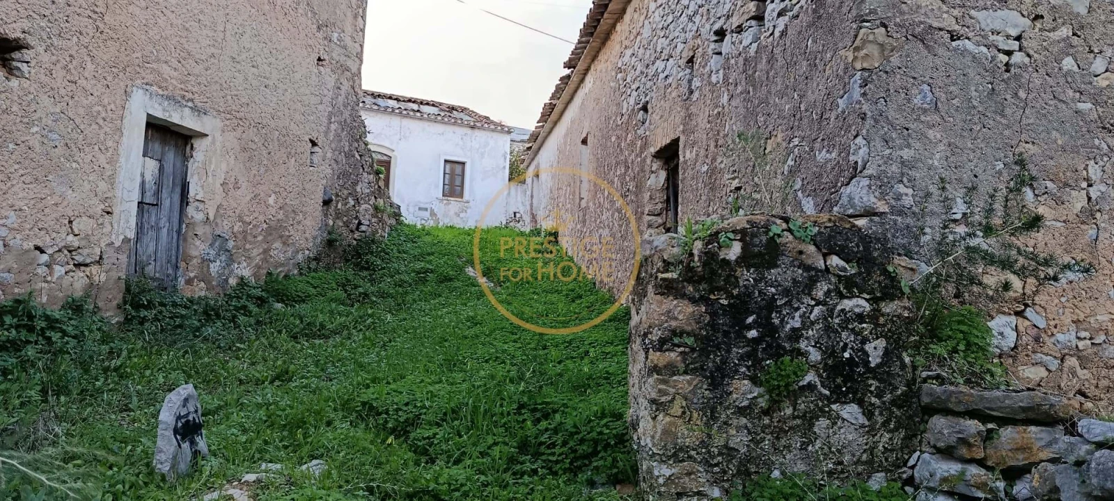 Terreno para Venda em Loule (São Sebastião) Foto 6