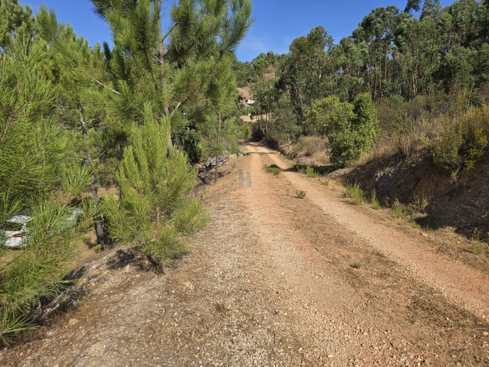 Terreno para Venda em Marmelete Foto 6