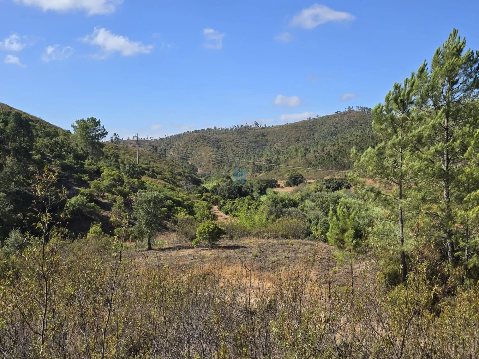 Terreno para Venda em Marmelete Foto 4