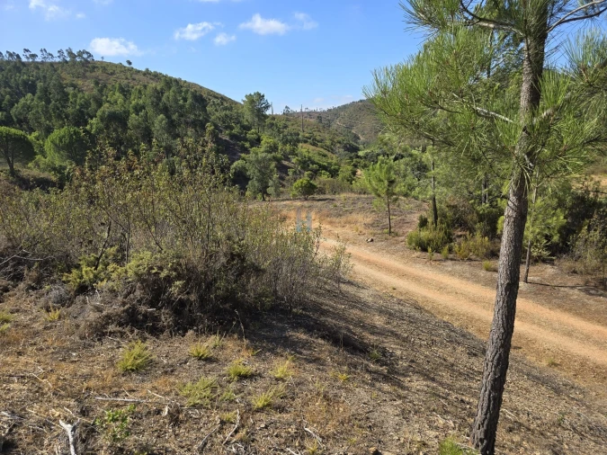 Terreno para Venda em Marmelete