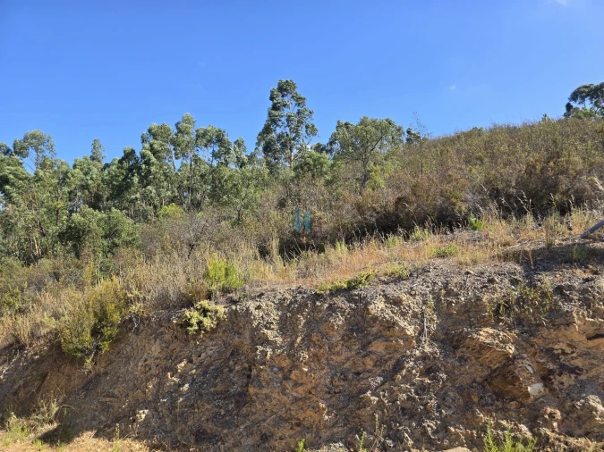 Terreno para Venda em Marmelete Foto 3