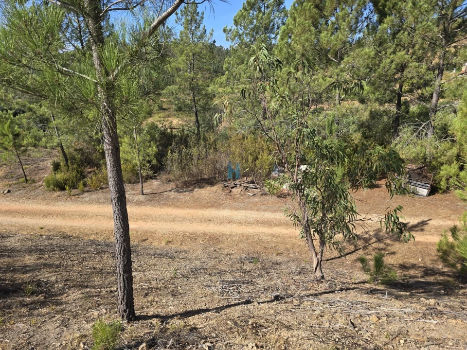 Terreno para Venda em Marmelete Foto 5