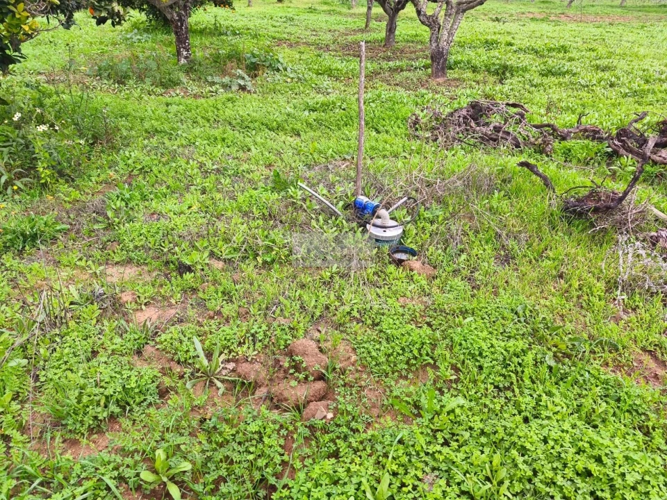 Quinta T5 para Venda em Luz Foto 21