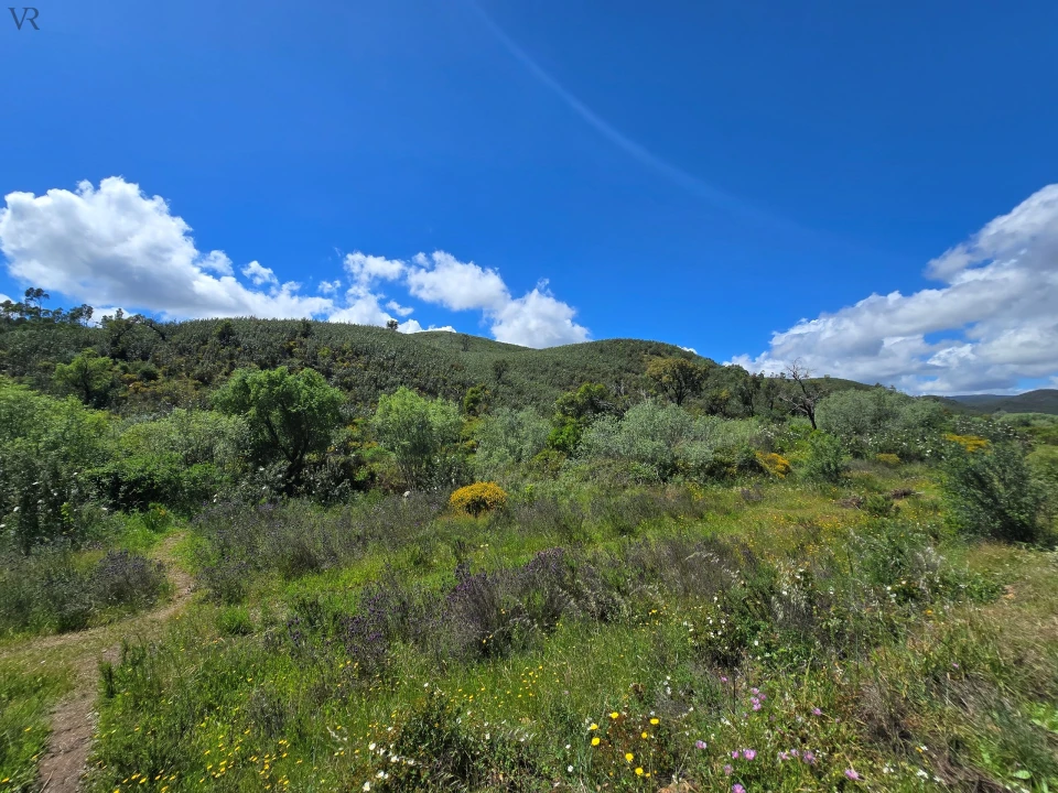 Terreno para Venda em Marmelete Foto 13