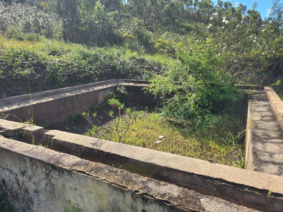 Terreno para Venda em Marmelete Foto 6