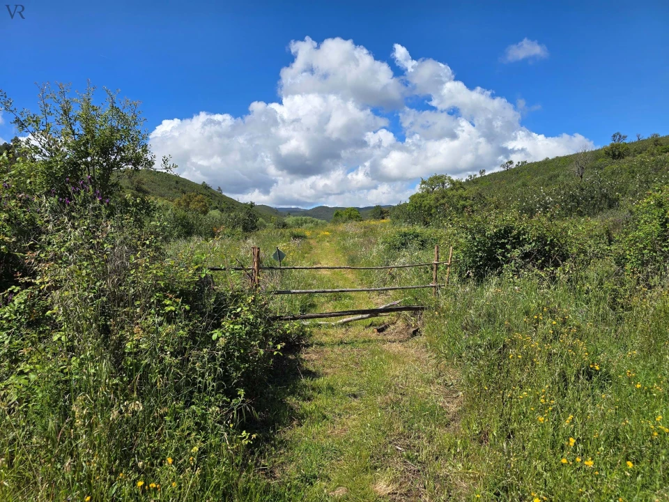 Terreno para Venda em Marmelete Foto 15