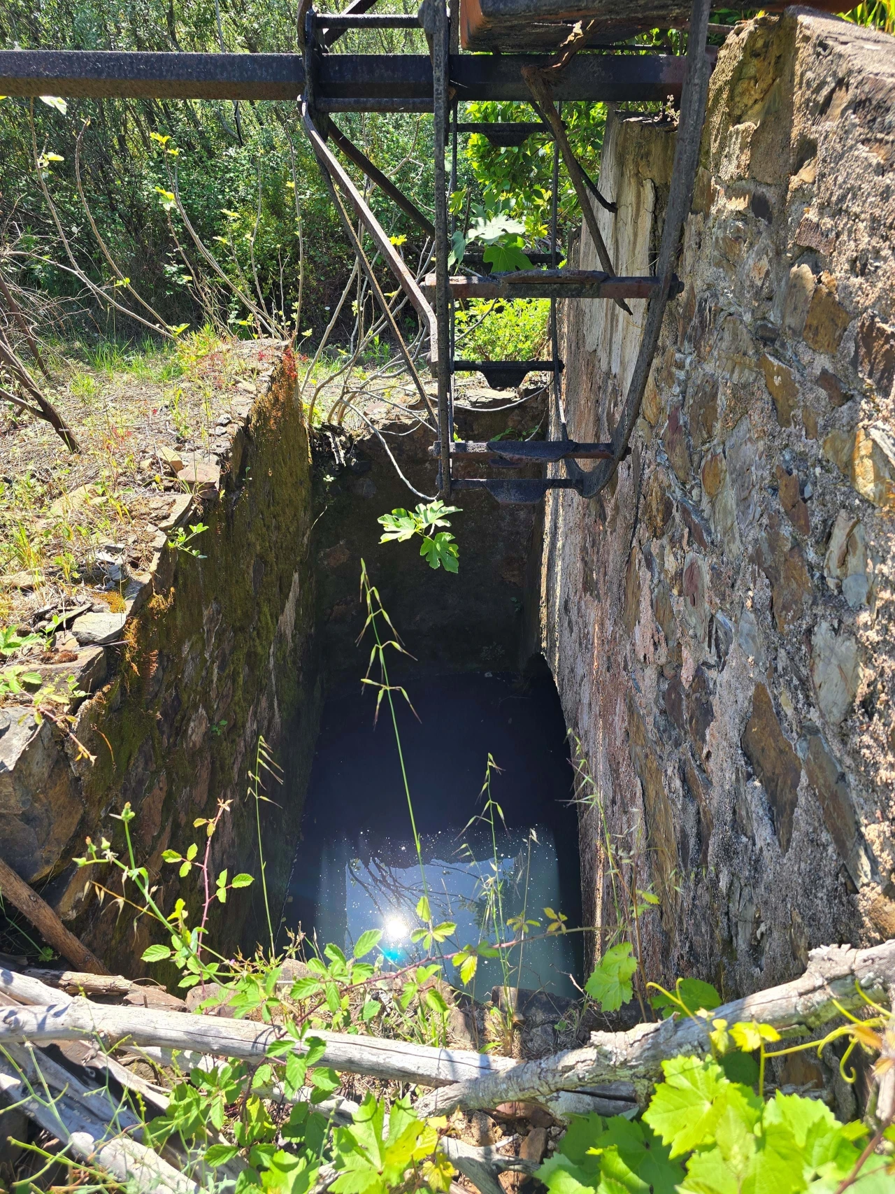 Terreno para Venda em Marmelete Foto 14