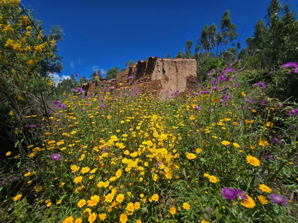 Terreno para Venda em Marmelete Foto 10