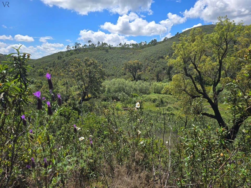Terreno para Venda em Marmelete Foto 8