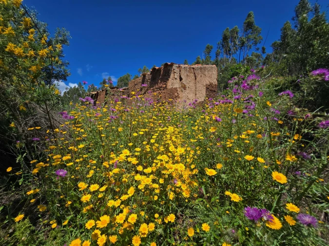 Terreno para Venda em Marmelete Foto 10