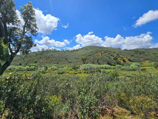 Terreno para Venda em Marmelete Foto 9