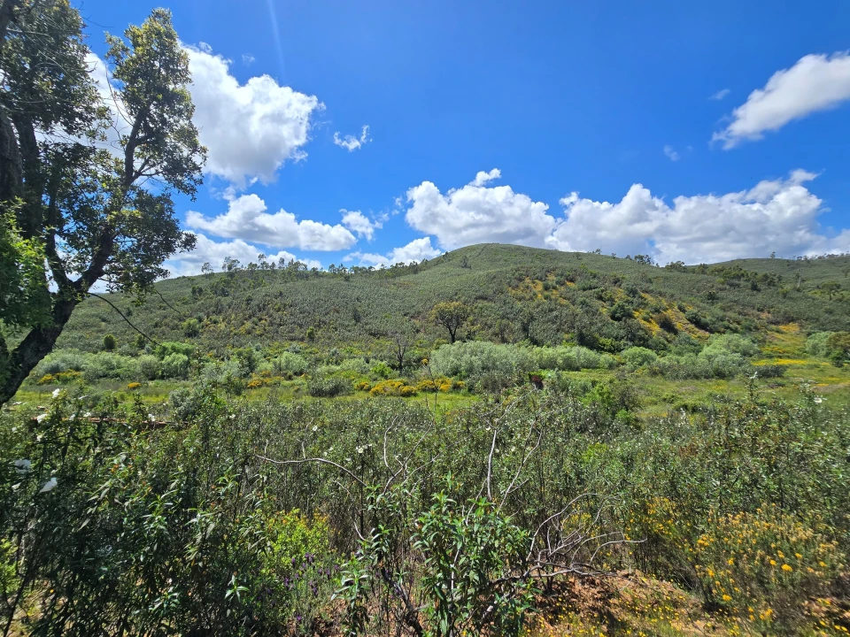 Terreno para Venda em Marmelete Foto 9