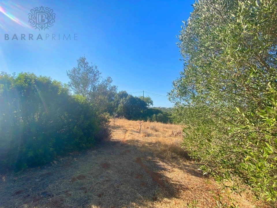 Terreno para Venda em Almancil Foto 9