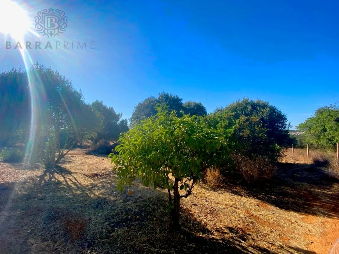 Terreno para Venda em Almancil Foto 8