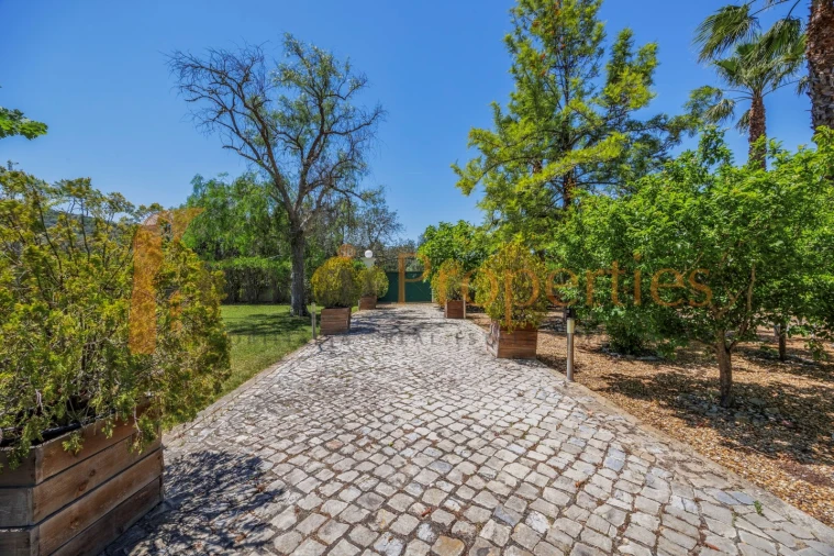 Moradia T4 para Venda em Santa Barbara de Nexe Foto 14