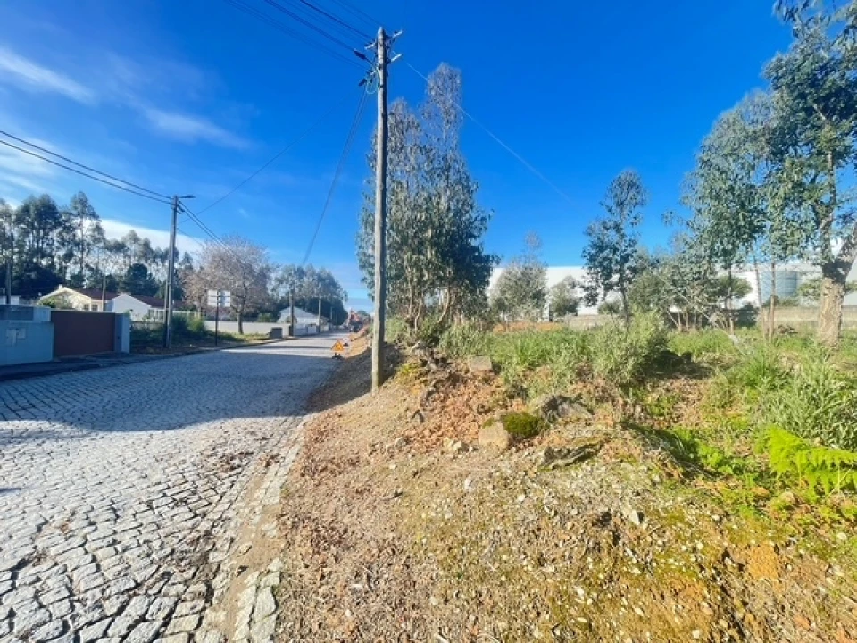 Terreno para Venda em Canelas Foto 2