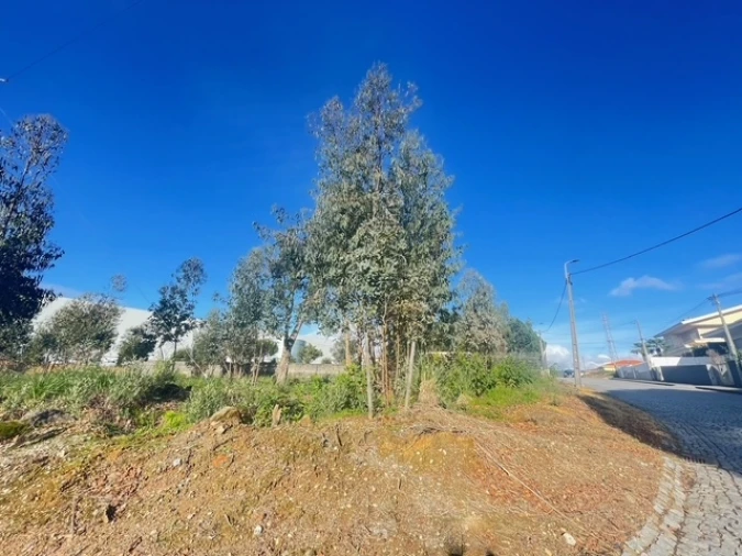 Terreno para Venda em Canelas Foto 5