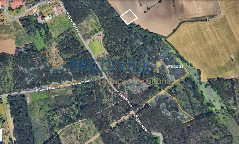 Terreno Agricola ou Rústico para Venda em Vilar e Mosteiró Foto 2