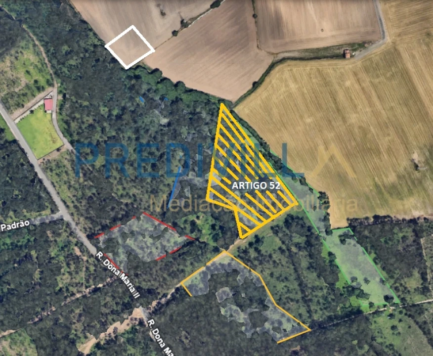 Terreno Agricola ou Rústico para Venda em Vilar e Mosteiró Foto 1