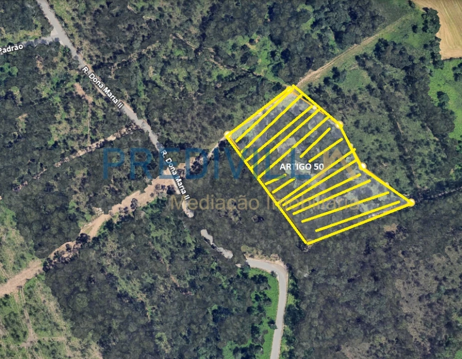 Terreno Agricola ou Rústico para Venda em Vilar e Mosteiró Foto 1