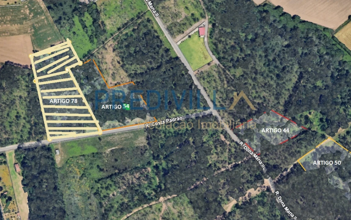 Terreno Agricola ou Rústico para Venda em Vilar e Mosteiró Foto 1