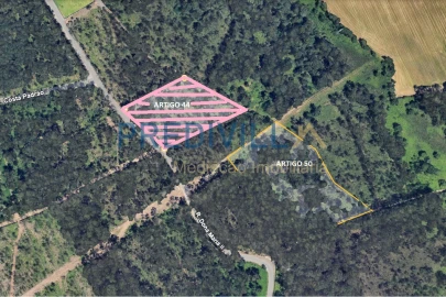 Terreno Agricola ou Rústico para Venda em Vilar e Mosteiró